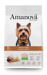 Amanova Adult Mini Exquisite Chicken väikeste tõugude täiskasvanud koertele kanaga, 2 kg hind ja info | Koerte kuivtoit ja krõbinad | hansapost.ee