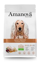 Amanova Adult Medium Exquisite Chicken keskmise tõu täiskasvanud koertele kanaga, 2 kg цена и информация | Amanova Товары для животных | hansapost.ee