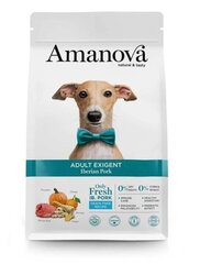 Amanova Adult Exigent для взрослых собак с иберийской свининой, 2 кг цена и информация | Сухой корм для собак | hansapost.ee