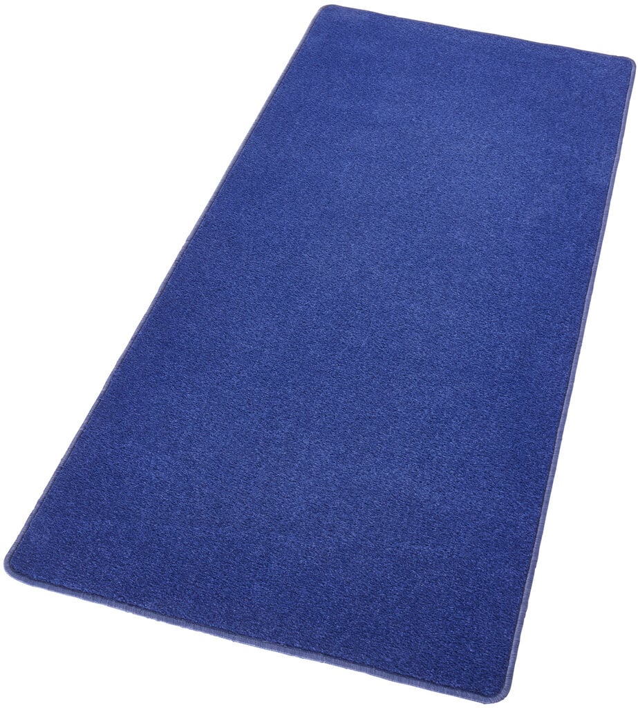 Vaip Hanse Home Fancy Blue, 80x150 cm hind ja info | Vaibad | hansapost.ee