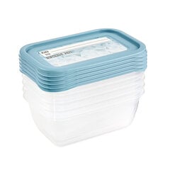 Toidu sügavkülma konteinerite komplekt, 5 tk price and information | Food storage containers | hansapost.ee