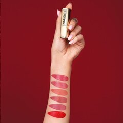 Huulepulk Eveline Cosmetics Variete nr. 05 Endless Love цена и информация | Помады, бальзамы, блеск для губ | hansapost.ee