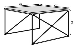 Журнальный столик ADRK Furniture Nelia, черный/золотой цена и информация | Журнальные столики | hansapost.ee