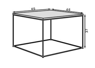 Kohvilaud ADRK Furniture Roni, valge/kuldne hind ja info | Diivanilauad | hansapost.ee