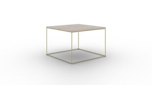 Кофейный столик ADRK Furniture Roni, коричневый/золотой цена и информация | Журнальные столики | hansapost.ee