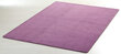 Vaip Hanse Home Nasty Purple, 200x200 cm цена и информация | Vaibad | hansapost.ee