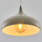 Ripplamp Niso 6497-1-01 hind ja info | Rippvalgustid | hansapost.ee