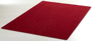 Vaip Hanse Home Nasty Red, 200x300 cm цена и информация | Ковры | hansapost.ee