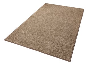 Vaip Hanse Home Pure Brown, 200x300 cm цена и информация | Ковры | hansapost.ee