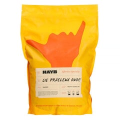 HAYB Fruit Flow jahvatatud kohv, 1kg hind ja info | Kohv ja kakao | hansapost.ee