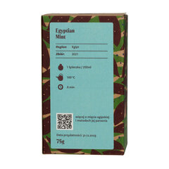 Teasome Egyptian Mint taimetee, 75g hind ja info | Tee | hansapost.ee