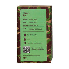 Teasome Spring Tips roheline tee, 50g hind ja info | Tee | hansapost.ee