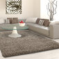 Vaip Ayyildiz LIFE taupe, 100x200 cm hind ja info | Vaibad | hansapost.ee