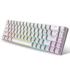 Royal Kludge RK G68, Brown switches, Белый цена и информация | Клавиатура с игровой мышью 3GO COMBODRILEW2 USB ES | hansapost.ee