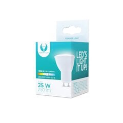 Pirn LED GU10 3W 230V 6000K 250lm hind ja info | Lambipirnid ja LED-pirnid | hansapost.ee