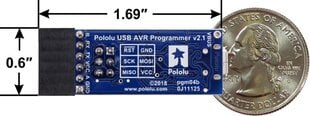 USB AVR Pololu v2.1, microUSB 3.3V/5V цена и информация | электроника с открытым кодом | hansapost.ee