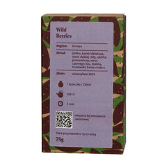 Teasome Wild Berries puuvilja tee, 75g hind ja info | Tee | hansapost.ee