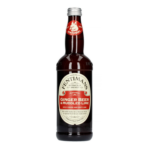 Karastusjook Fentimans Imbierinissu, 500ml hind ja info | Maiustused | hansapost.ee