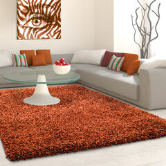 Vaip Ayyildiz LIFE terra, 160X230 cm price and information | Carpets | hansapost.ee