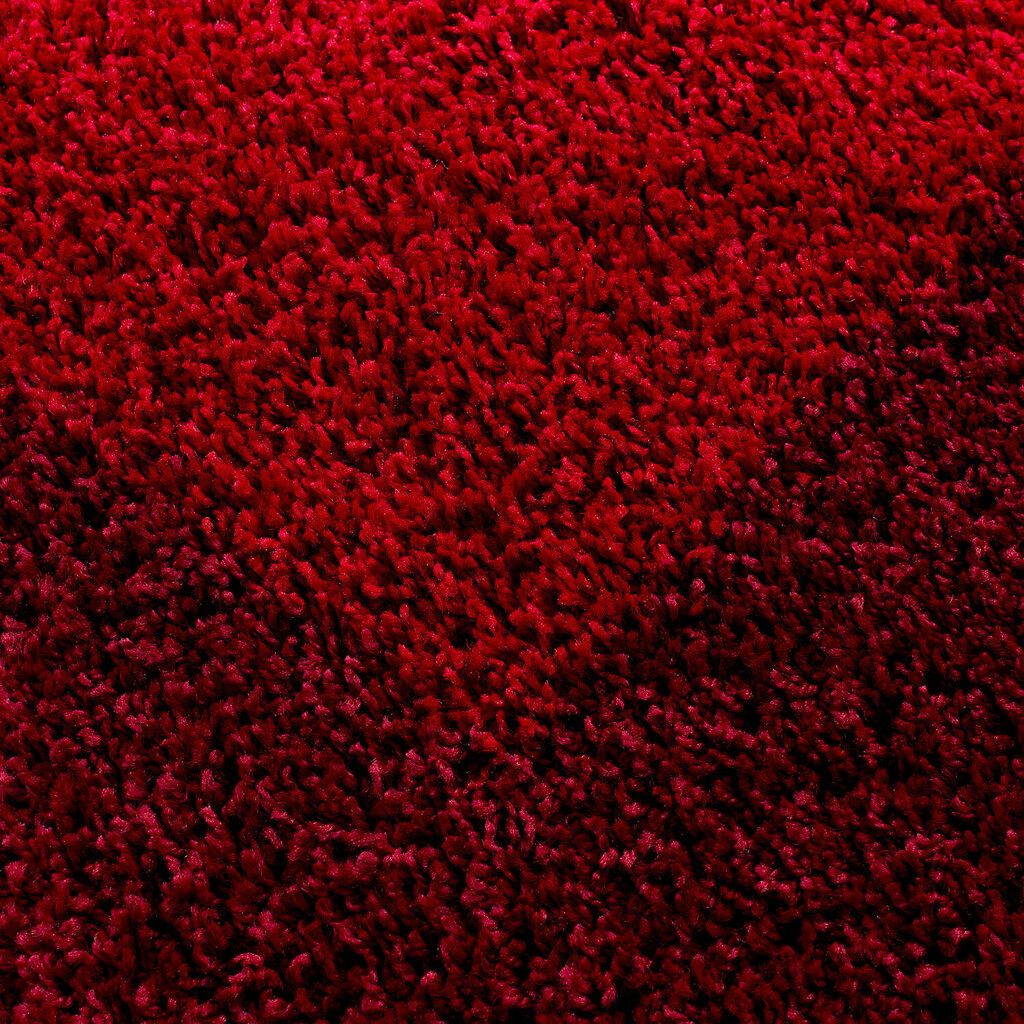 Vaip Ayyildiz LIFE RED, 300x400 cm hind ja info | Vaibad | hansapost.ee
