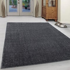 Vaip, Ata Grey 120x170 cm hind ja info | Vaibad | hansapost.ee