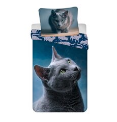 Laste voodipesukomplekt Cat Dark 140×200 cm, 2-osaline price and information | Laste voodipesu | hansapost.ee