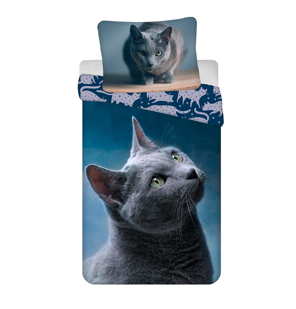 Laste voodipesukomplekt Cat Dark 140×200 cm, 2-osaline цена и информация | Laste voodipesu | hansapost.ee