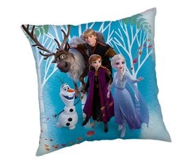 Jerry Fabrics dekoratiivpadi Frozen 02 Family hind ja info | Padjakatted ja dekoratiivpadjad | hansapost.ee