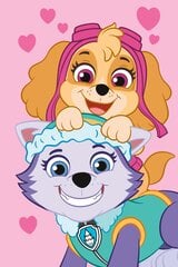 Jerry Fabrics детское плед Paw Patrol PP518, 100x150 см цена и информация | Покрывала, пледы | hansapost.ee