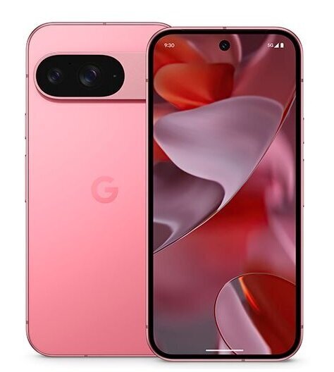 Google Pixel 9 5G Dual SIM 12/256GB Peony цена и информация | Telefonid | hansapost.ee