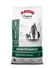 Arion Original Maintenance Adult корм для взрослых собак очень крупных пород с курицей, 12 кг цена и информация | Сухой корм для собак | hansapost.ee