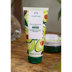 Kehakreem The Body Shop Avokaado, 200 ml цена и информация | Кремы, лосьоны для тела | hansapost.ee