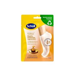 Scholl Drėkinamoji pėdų kaukė su manukos medumi Expert Care PediMask™ (pėdų kaukė su manukos medumi) 1 pora цена и информация | Кремы, лосьоны для тела | hansapost.ee