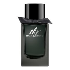 Lõhnavesi Burberry Mr. Burberry EDP meestele, 100 ml hind ja info | Parfüümid meestele | hansapost.ee