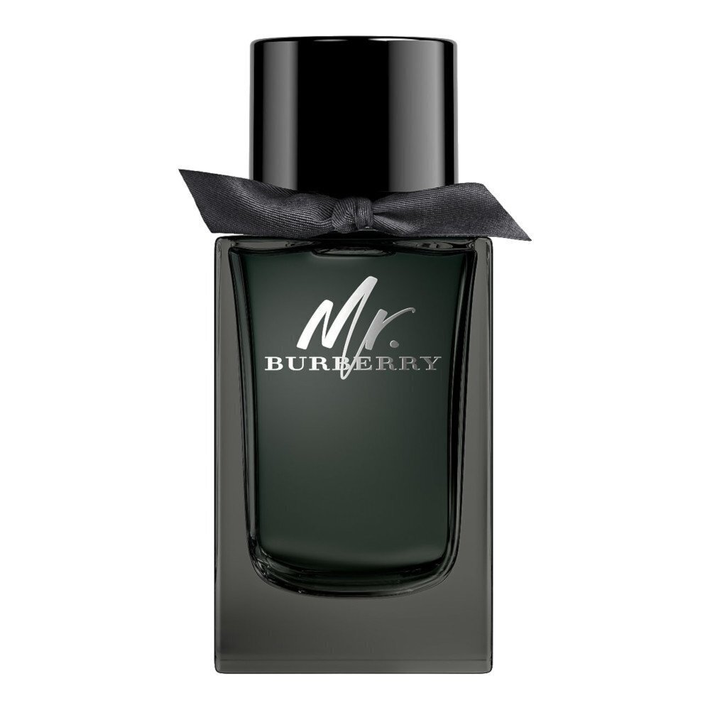 Lõhnavesi Burberry Mr. Burberry EDP meestele, 100 ml цена и информация | Parfüümid meestele | hansapost.ee