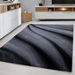 Vaip Miami Black 6630, 80x300 cm price and information | Vaibad | hansapost.ee