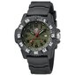 Luminox Master Carbon SEAL XS.3813.L XS.3813.L цена и информация | Käekellad meestele | hansapost.ee