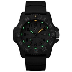 Мужские часы Luminox Master Carbon SEAL XS.3813.L  цена и информация | Мужские часы | hansapost.ee