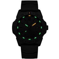 Мужские часы Luminox XS.3121.BO цена и информация | Мужские часы | hansapost.ee