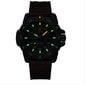 Meeste käekell Luminox Master Carbon SEAL Automatic XS.3875 цена и информация | Käekellad meestele | hansapost.ee