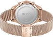 Käekell meestele Hugo Boss 1513806 (zh026a) цена и информация | Käekellad meestele | hansapost.ee