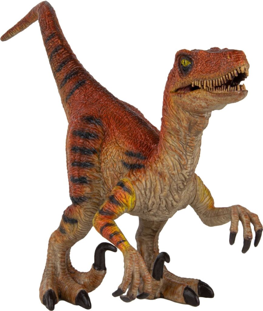 Dinosaurusfiguur Boley Velociraptor 19 cm hind ja info | Mänguasjad poistele | hansapost.ee