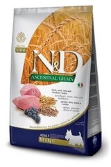 N&D Low Grain корм для взрослых собак мелких пород с бараниной и черникой, 7 кг цена и информация | Сухой корм для собак | hansapost.ee