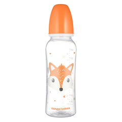 Kitsa kaelaga lutipudel Canpol Cute Animals 250ml, oranž (11/841) price and information | Baby bottles and accessories | hansapost.ee