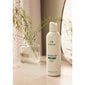 Kehakreem The Body Shop White Musk body lotion, 250 ml цена и информация | Kehakreemid, kehaõlid ja losjoonid | hansapost.ee