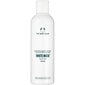 Kehakreem The Body Shop White Musk body lotion, 250 ml цена и информация | Kehakreemid, kehaõlid ja losjoonid | hansapost.ee