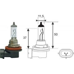 Magnet Marelli H11 12V/55W lamp 1tk цена и информация | Автомобильная ксеноновая лампа D2R 6000К (Китай) | hansapost.ee