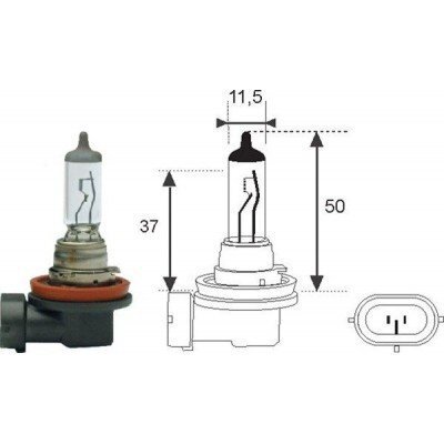 Magnet Marelli H11 12V/55W lamp 1tk цена и информация | Autopirnid | hansapost.ee
