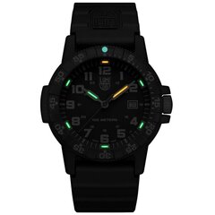 Мужские часы Luminox Leatherback Sea Turtle Giant XS.0321.L  цена и информация | Мужские часы | hansapost.ee