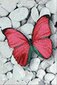 Teemantmosaiik Pink Butterfly DP054, 20x30 cm цена и информация | Teemantmaalide komplektid | hansapost.ee